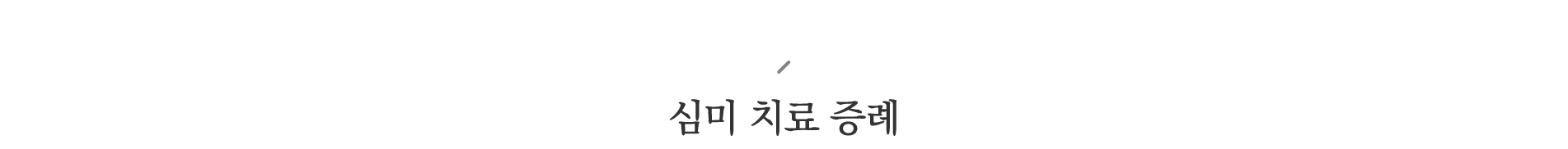 심미 치료 증례