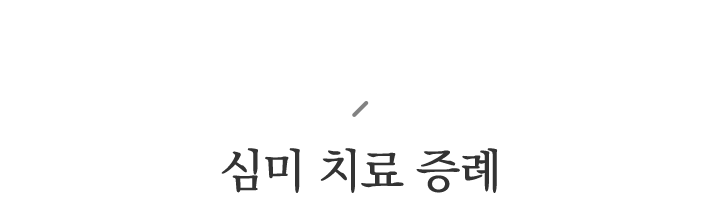 심미 치료 증례